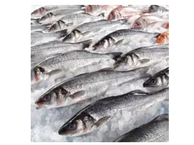 Frozen Food