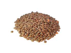 Lentils & Pulses